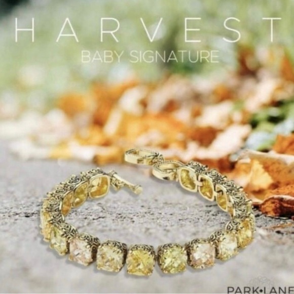 Park Lane Baby Signature Harvest Bracelet! Absolutely Stunning!! - Picture 1 of 9